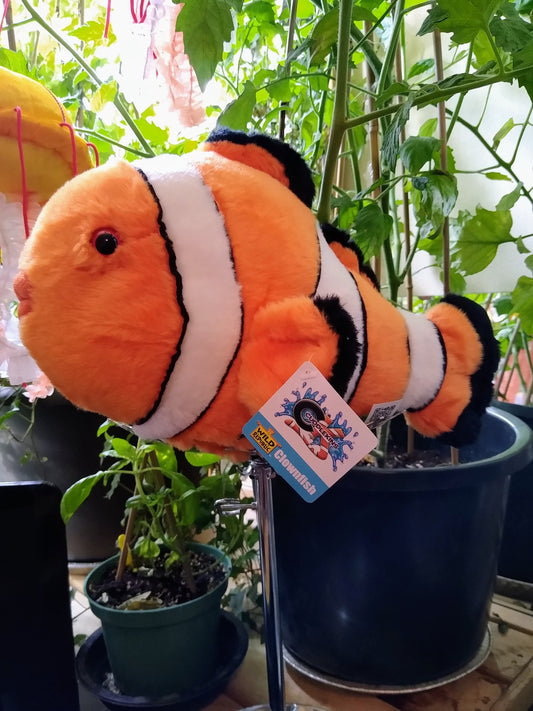 Cuddlekins Clownfish 12"