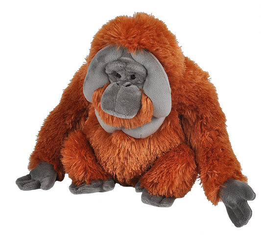 Cuddlekins Orangutan 12"