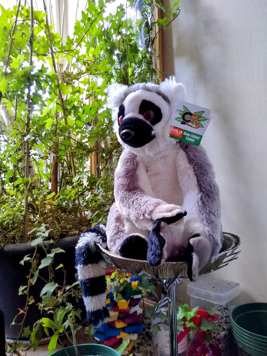 Cuddlekins Ring-Tailed Lemur 8-12"